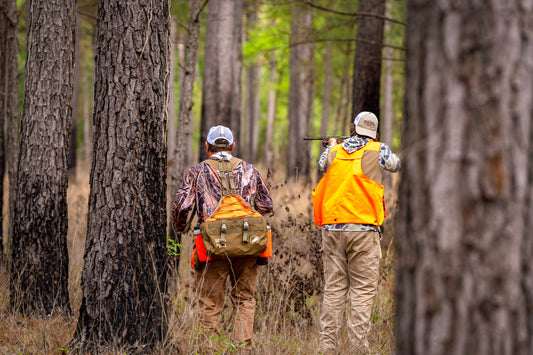 Quail Hunting Tip of the Week: Mastering the Covey Rise