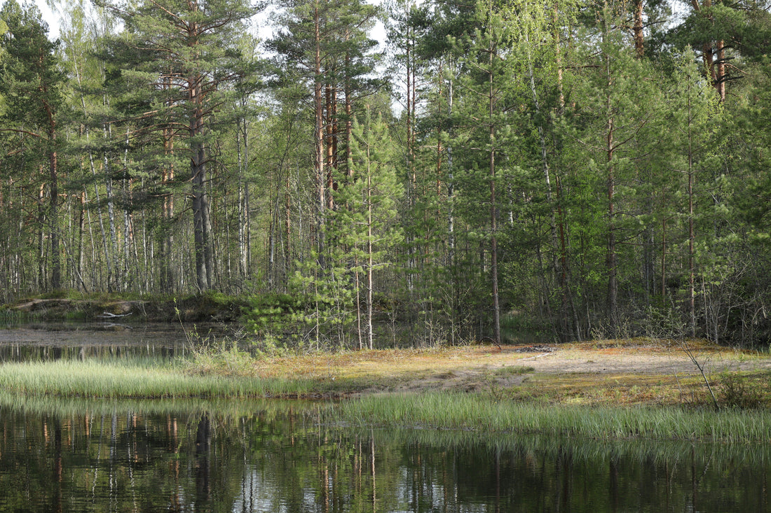 Layering for Unpredictable Weather: From Cool Mornings to Afternoon Heat